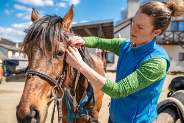 saddled horses on the farm before the ride