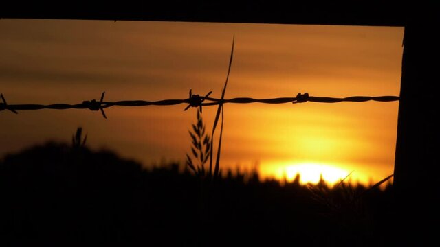 Sunset background and barbed wire fence silhouette 