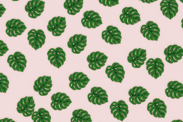 Monstera leaves on pink background