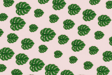Monstera leaves on pink background
