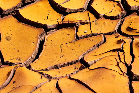 Cracked surface of dry ground in sunlight