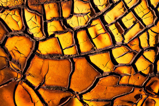 Cracked surface of dry ground in sunlight