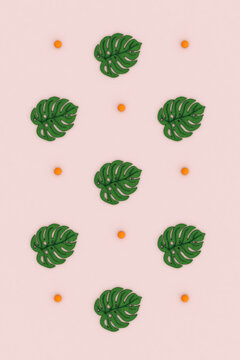 Monstera leaves on pink background
