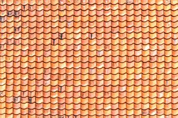 Traditional Dutch tile roof