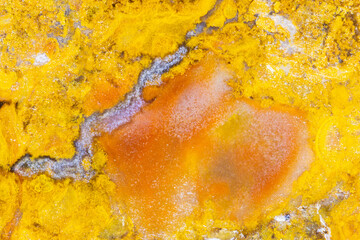 Fantasia Jasper Closeup