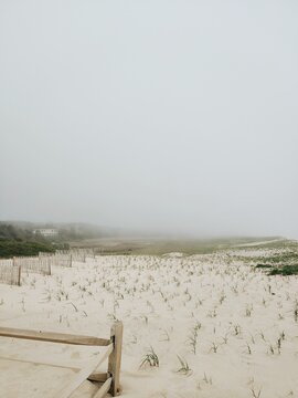 Sandy beach line near ocean