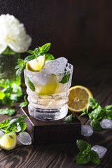 Cold freshly made lemonade, lemon slice and fresh mint leaves. Healthy organic homemade citrus drink.