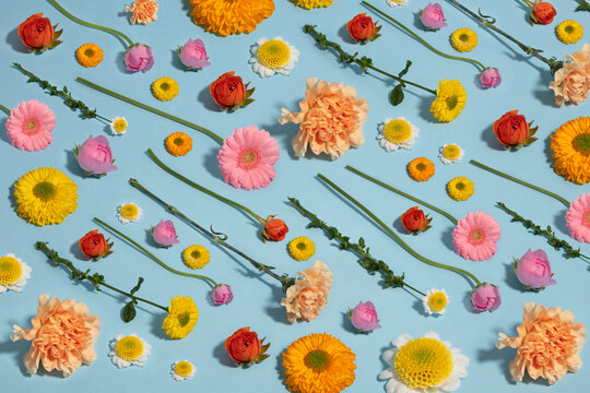 Flower pattern