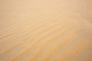 Fototapeta na wymiar sand ripples texture background 