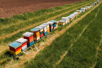 Beehive boxes in grassy meadow, aerial view drone footage