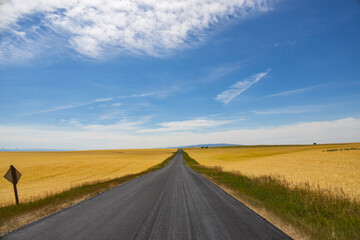 Fototapeta na wymiar Country road to the sky thru wheat fields with blue sky and white clouds background