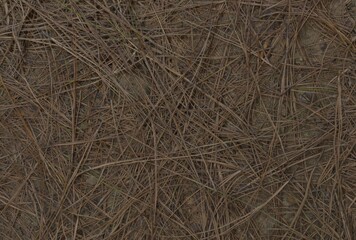 texture of straw background