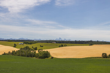 Fototapeta na wymiar Fields and blue sky with white clouds and Teton mountain range in background