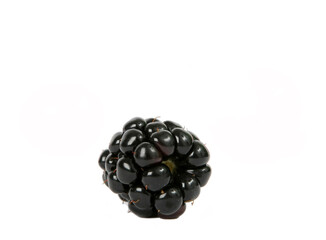 Blackberry isolated on white background.