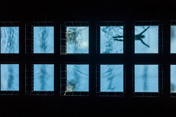 modern swimming pool