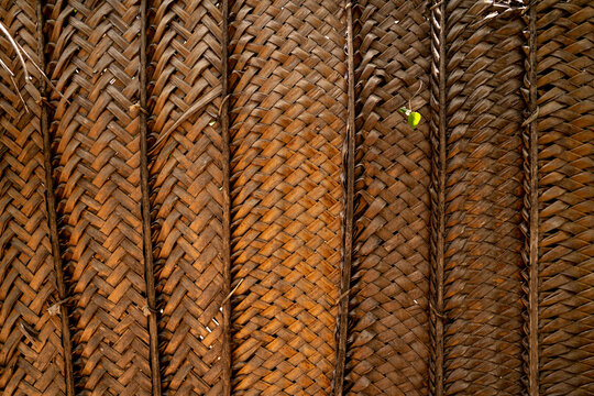 Palm leaves wall panel