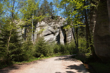 Rock formation in Adersbach-Weckelsdorf rock city in Czech republic,Europe
