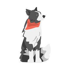 Side View of Border Collie Shepherd Pet Dog in Red Neckerchief Cartoon Vector Illustration