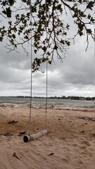 beach and tree