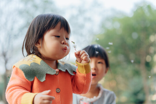 two little girl blowing dandelion