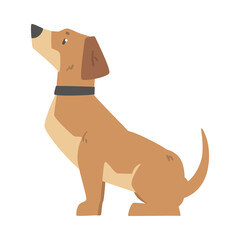 Side View of Sitting Dachshund Dog, Cute Pet Animal with Light Brown Coat Cartoon Vector Illustration