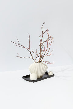 Twigs in ceramic vase in shape of shell