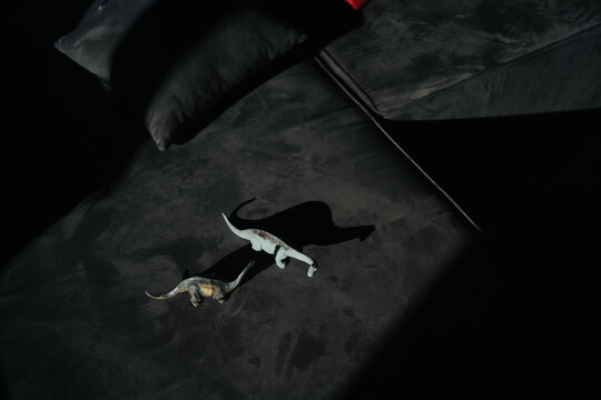 Dinosaur toys with shadows from sunlight