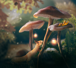 Squirrel (Sciurus vulgaris) and Fantasy magical Mushrooms glade with glowing lanterns in enchanted...
