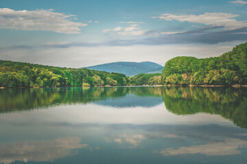 beautiful pond and trees around