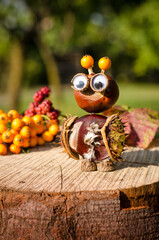 creative ideas from autumnal fruit and berries, diy autumn craft