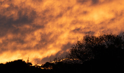 The sun sets over the forest on the Garden Route in South Africa