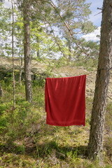 Hanging red towel among a pine trees. Outdoor tourism.