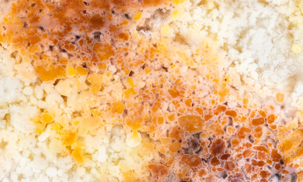 Feather Ridge Plume Agate Closeup