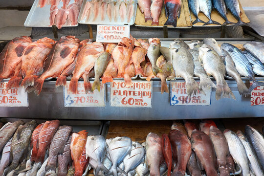 Fish market: Ensenada Fish market