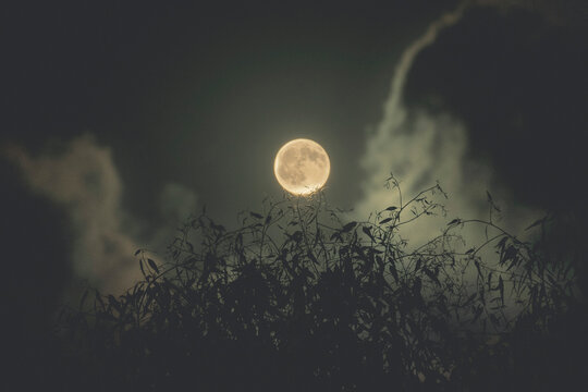 Full moon
