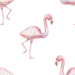 flamingo birds animals wild cartoon cute baby picture watercolor hand drawn illustration. Print textile vintage retro scandinavian style realism forest nature patern seamless