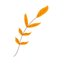 A twig with yellow leaves on a white background for use in clip art or web design