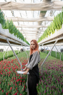 girl gardener records changes in the growth of tulips