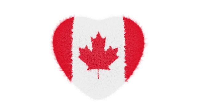 Realistic looping 3D animation of the cute fluffy national flag of Canada beating heart rendered in UHD with alpha matte