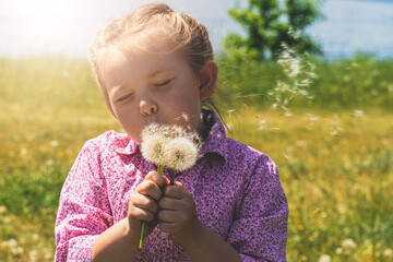 Little girl blowing on dandelions. High quality photo