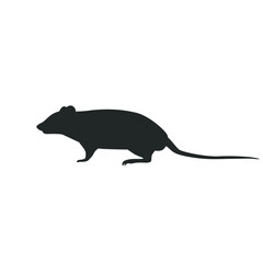 Rat isolated on white. Vector illustration.