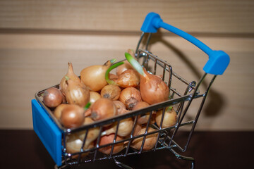 A basket in a store with sowing onions.