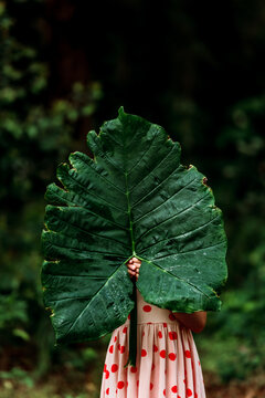 Child holds green leaf over face