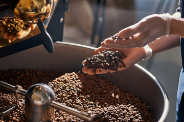 coffee roasting specialist