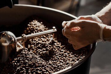 coffee roasting specialist