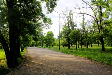 alley in the park