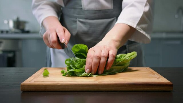 Female hands chopping salad lettuce leaves