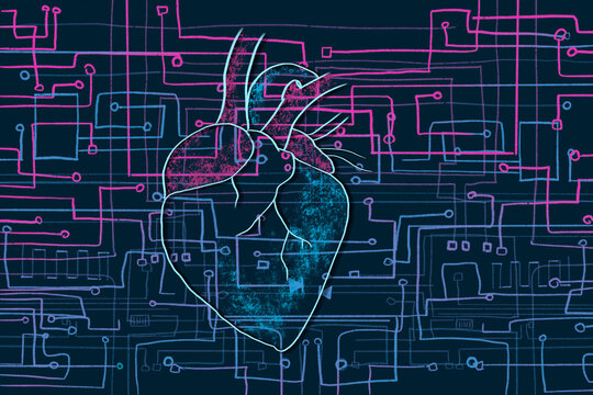 Heart circuit illustration