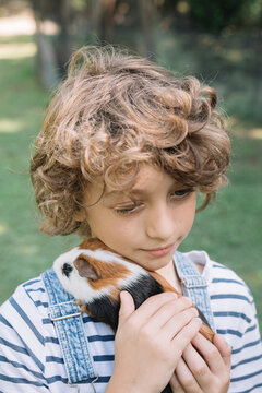 Kid Petting A Guinea Pig At Farm