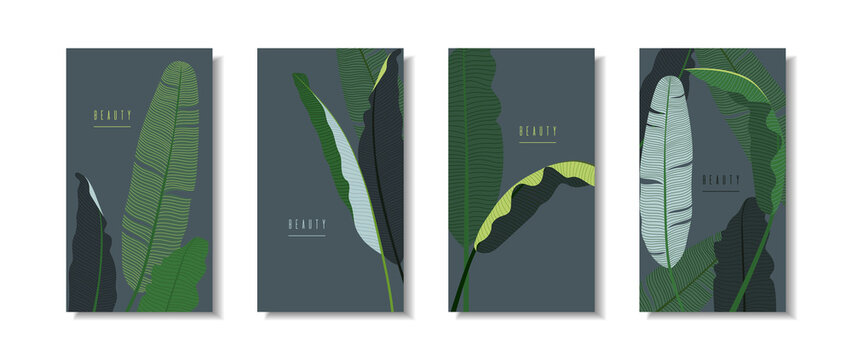 Set of vertical banners with banana leaves on dark background. Collection of templates for packaging with tropical leaves. Exotic botanicals for cosmetics, perfumes, spa. Stock vector illustration.